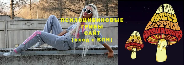 спайс Алексеевка