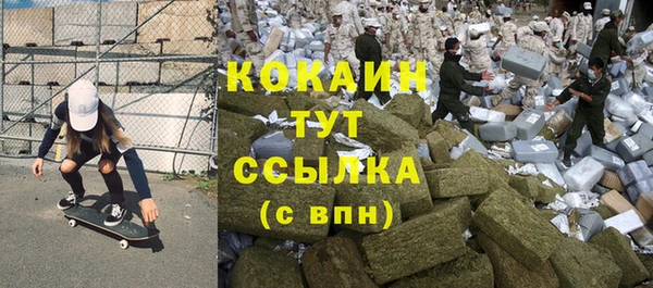 твердый Алексин