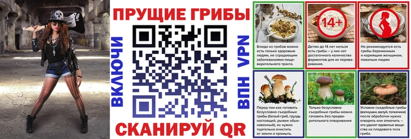 закладка  Омутнинск  Галлюциногенные грибы мицелий 