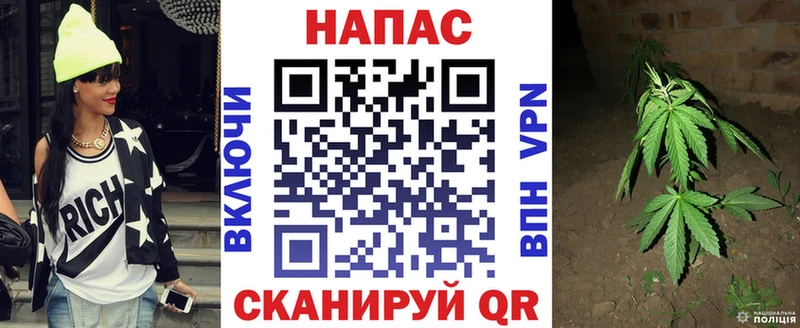 Бошки марихуана сатива  Омутнинск 